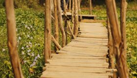 Start your golden visa-prepared journey with Vietnam’s vibrant glow